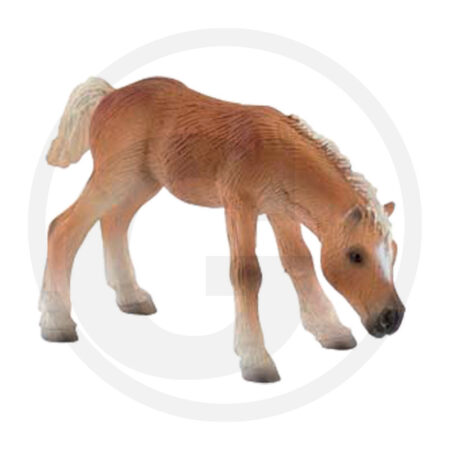 BULLYLAND žaislinis arkliukas "Haflinger Fohlen"