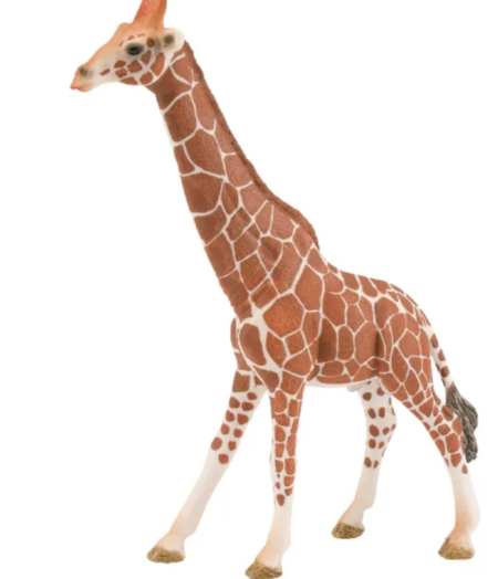 Žirafa tėtis Schleich