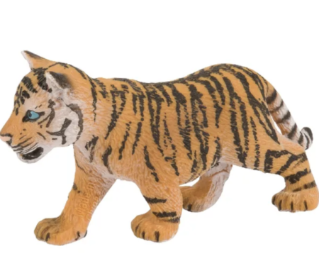 Tigriukas  jaunasis Bengalijos tigras jauniklis