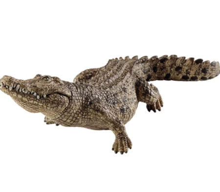 Krokodilas